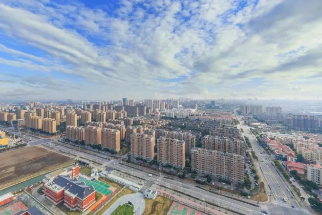 赞成红树林